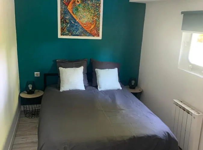 Dans Peniche Un Air De Bateau-hôtel Toulouse